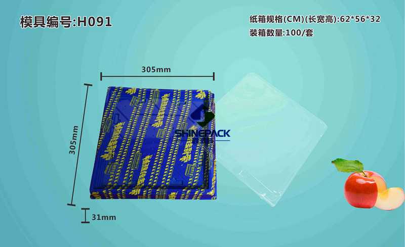 ��˾�ͺ� H091